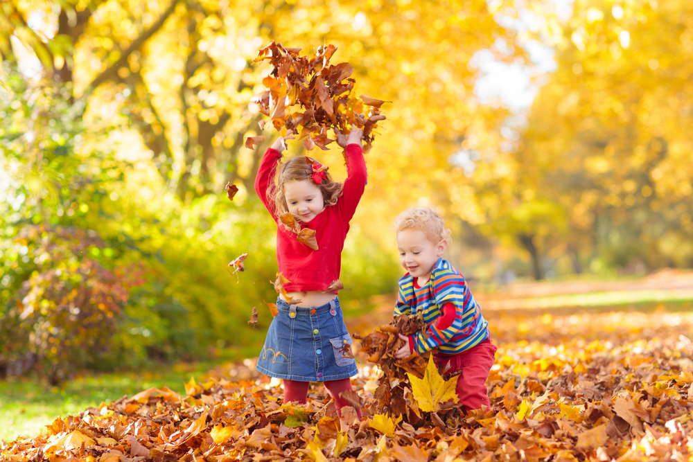 2 jarige kinderen spelen buiten